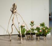 18 - Anne Breau -- Suisha Gardens.jpg 5.2K